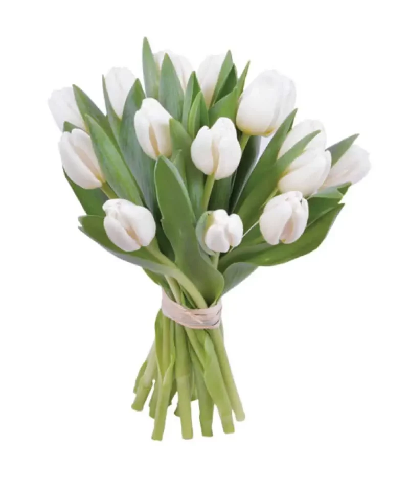 Ramo de tulipanes blancos