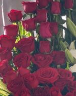 Rosas rojas amor real