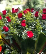 Rosas rojas frescas para envío de flores a domicilio, arreglo de floral Anhelo. Florería en Puebla