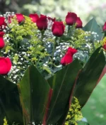 Arreglo de rosas rojas Anhelo, florerías en Puebla con envio de flores a domicilio en Puebla