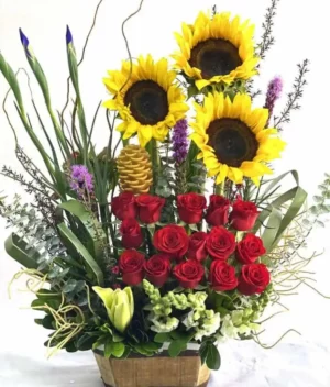 arreglo explosion de estrellas