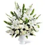 arreglo memorias de un mar