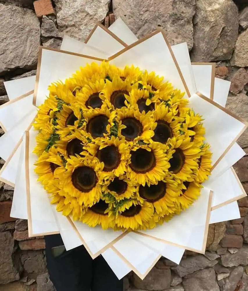 Ramos de 35 girasoles en forma de Ramo Bucho, Flores a domicilio TIjuana, La mejor floreria en Tijuana