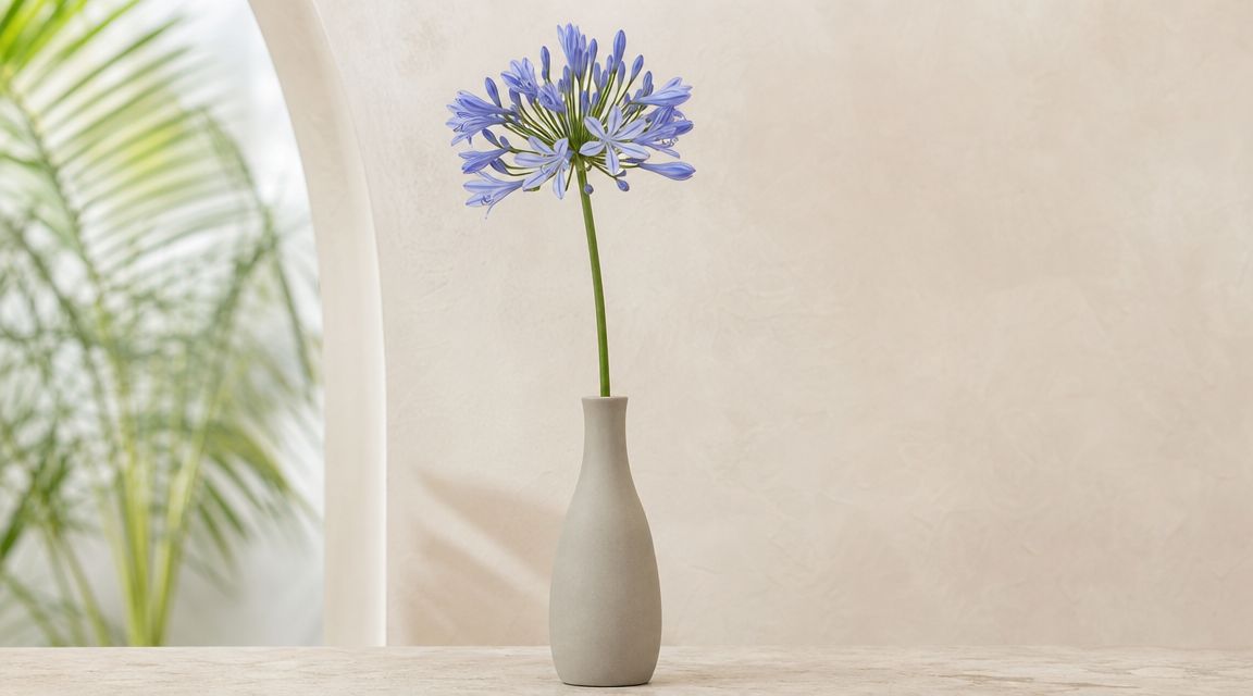 Una flor azul de agapanto en un jarrón minimalista sobre una mesa con fondo de pared texturizada.