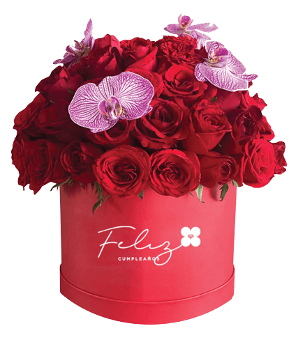 caja personalizada feliz cumpleaños con rosas rojas y flores rosas