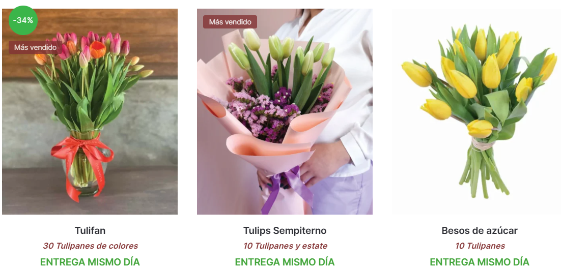 Florerías en Pachuca | Cómo enviar flores | Flores a domicilio en Pachuca